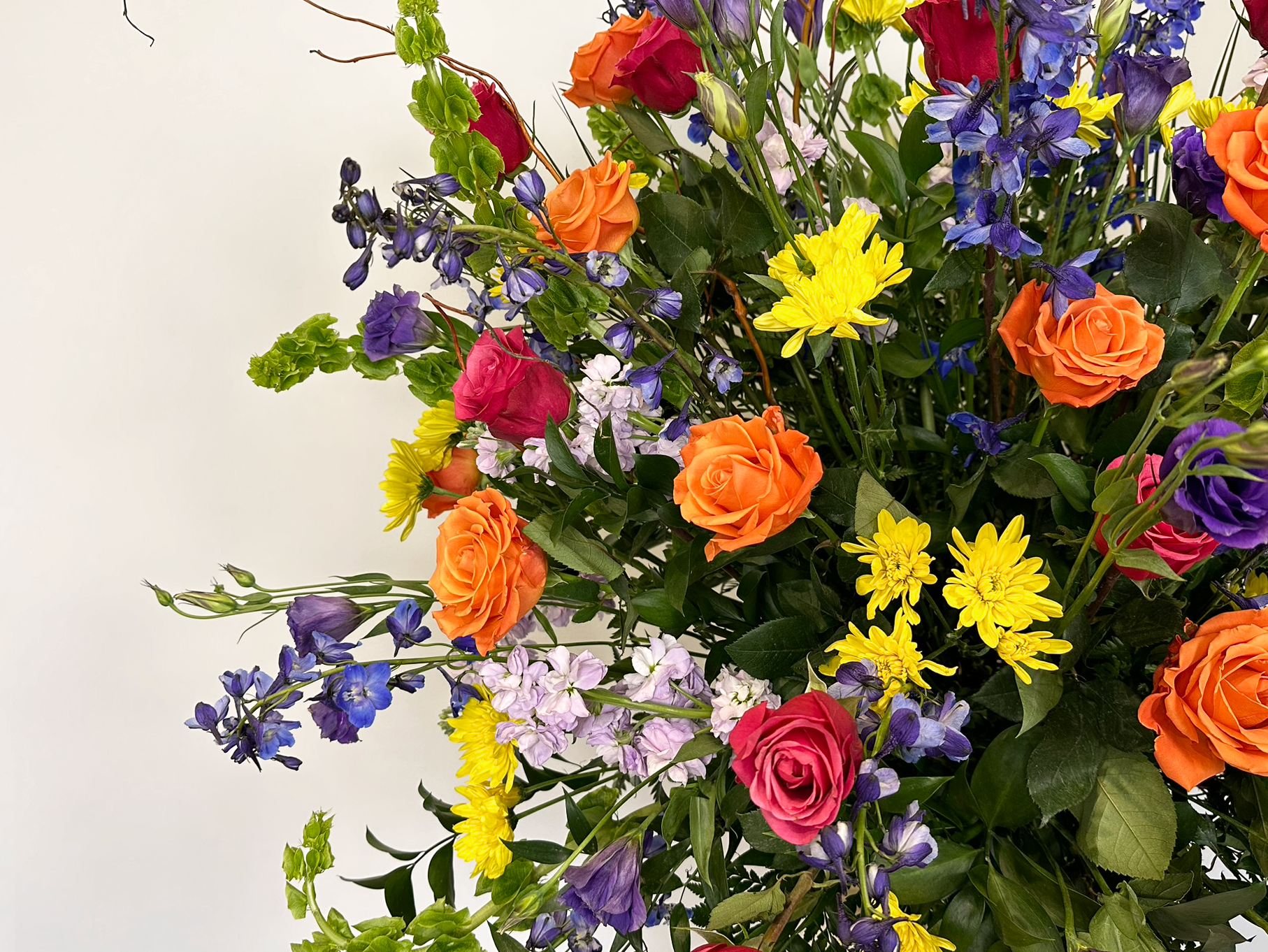 Vibrant Delight-Premium