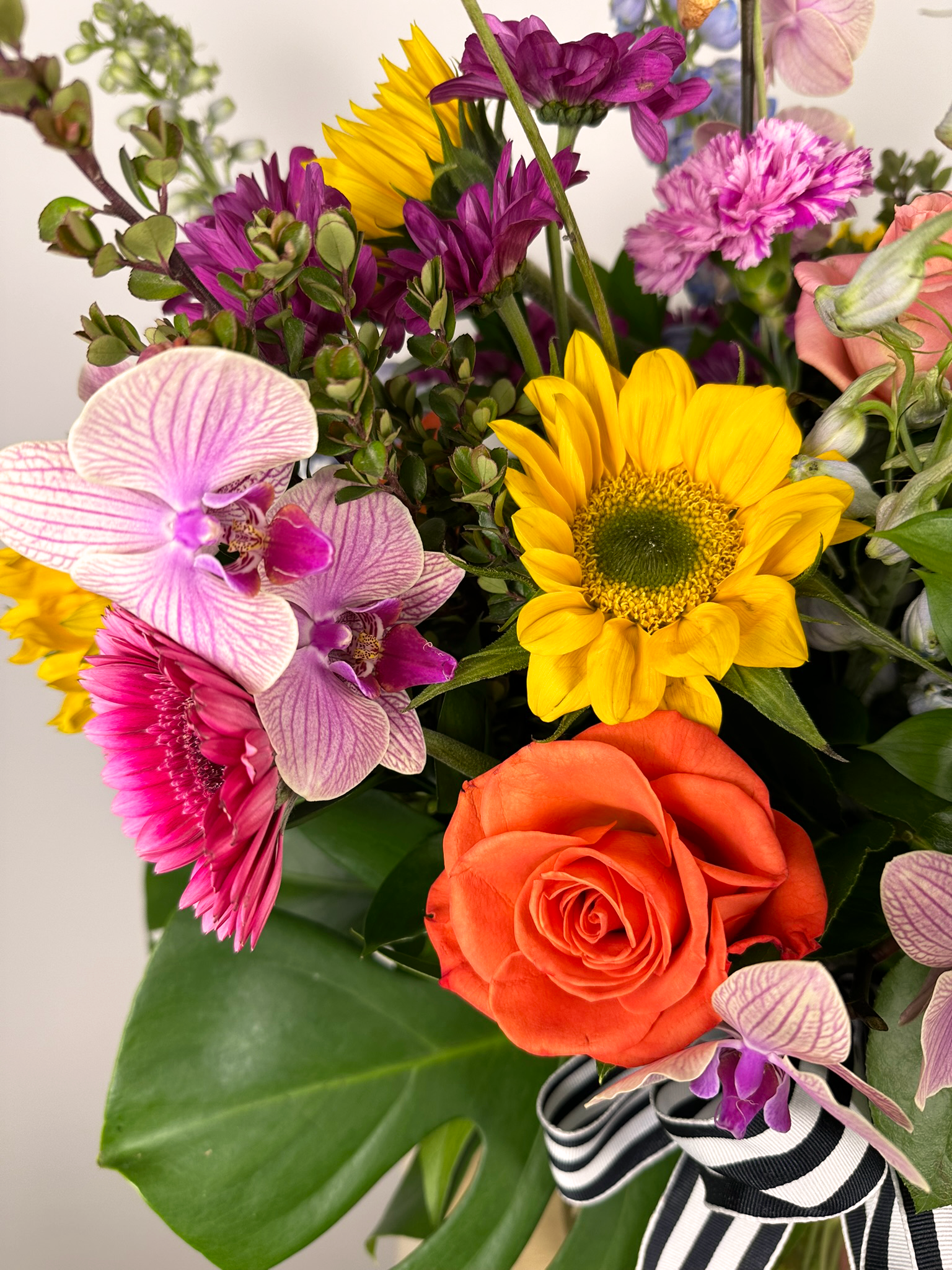 A Symphony of Blooms
