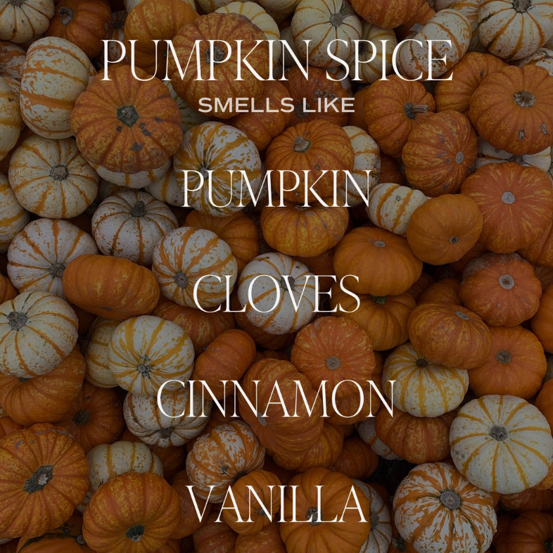 Pumpkin Spice 11 oz Soy Candle | Sweet Water Decor