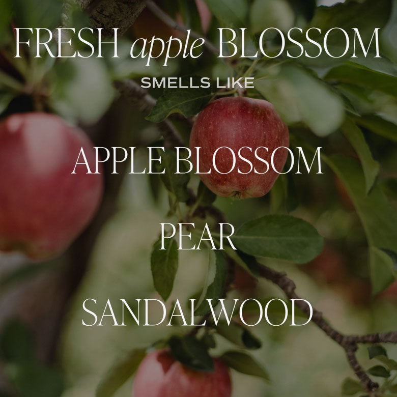 Fresh Apple Blossom 11 oz Soy Candle | Sweet Water Decor