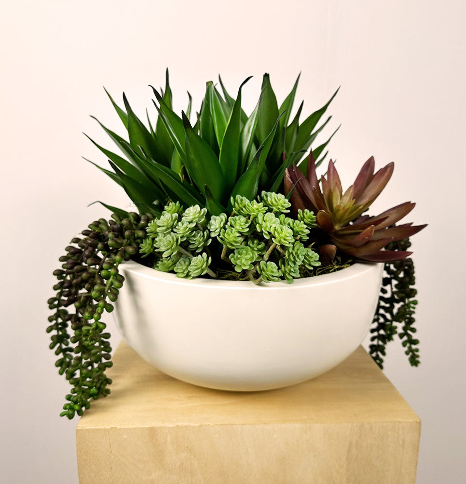 Artificial Succulents In Round White Container