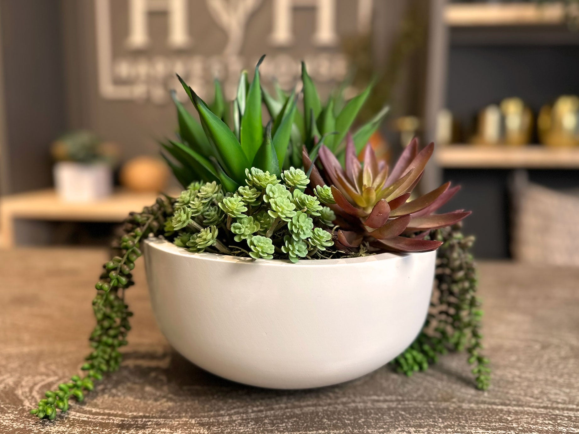 Artificial Succulents In Round White Container