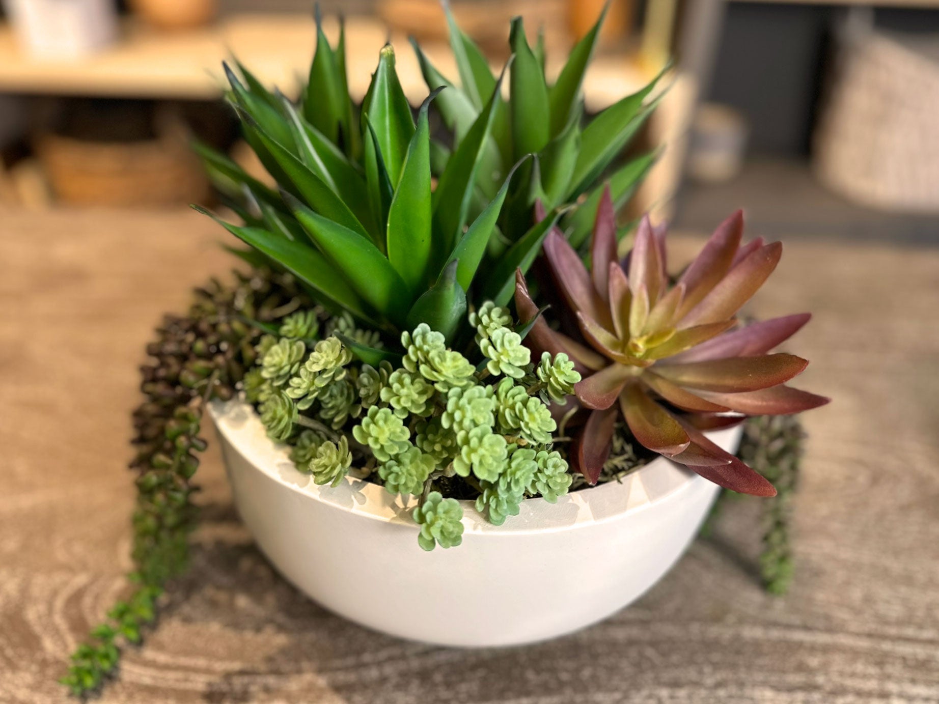 Artificial Succulents In Round White Container